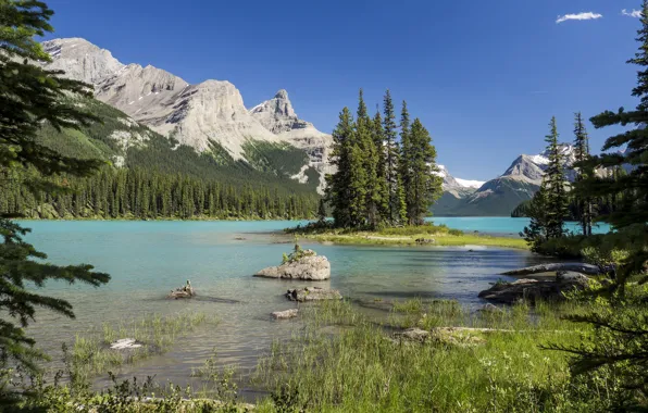 Картинка Канада, Альберта, Jasper National Park, Maligne Lake