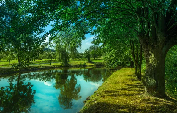 Зелень, деревья, пейзаж, природа, озеро