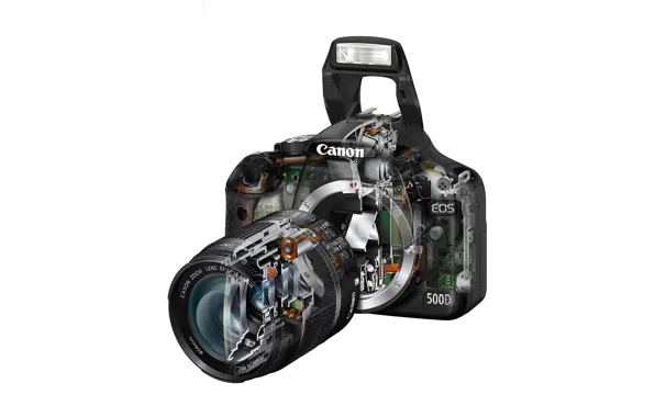 Canon, EOS 500D, cutaway