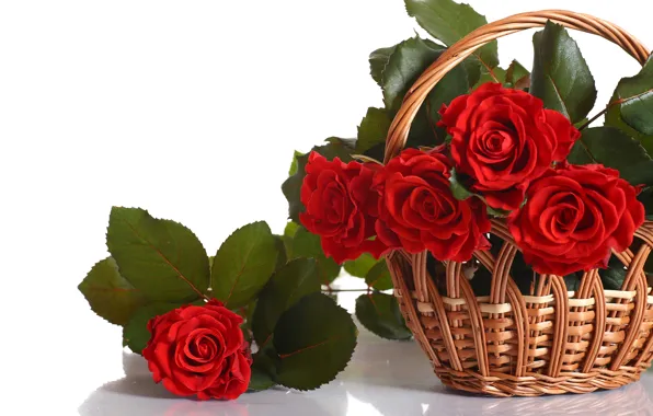 Картинка цветы, красный, розы, букет, лепестки