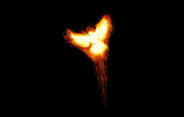 Картинка огонь, птица, минимализм, феникс, взлет, phoenix, миф, феня