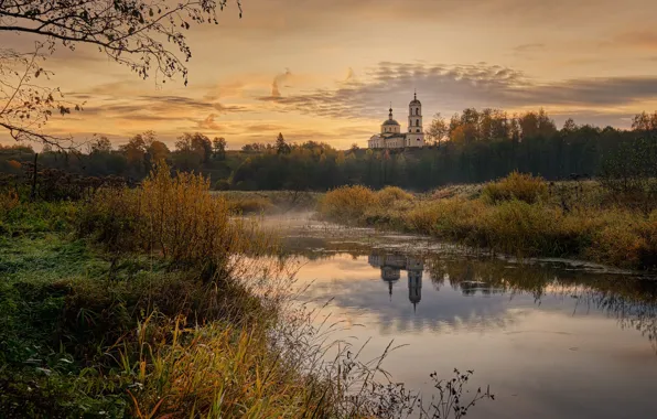 Картинка осень, деревья, пейзаж, природа, туман, отражение, село, утро