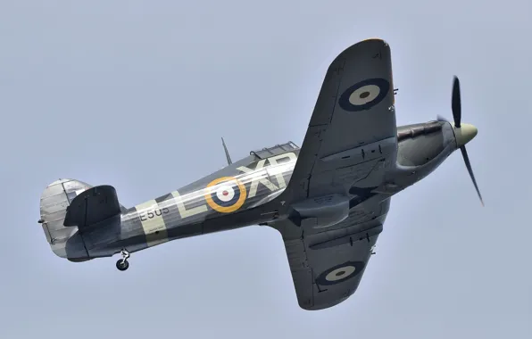 Hurricane, Hawker, одноместный истребитель