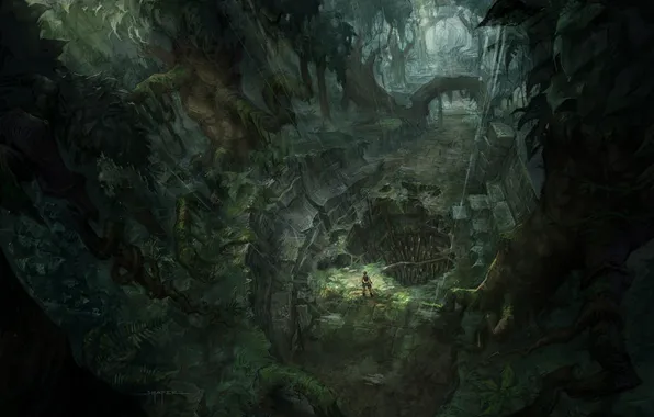 Картинка лес, девушка, дождь, чаща, Tomb Raider, пещера, Underworld, concept art