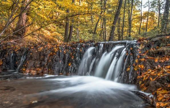 Картинка осень, река, водопад