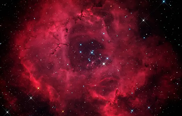 Звезды, туманность, Розетка, NGC 2244, NGC 2237