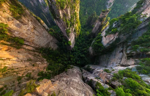Горы, Avatar, Аватар, Mountains, Zhangjiajie National Forest Park, Национальный лесной парк Чжанцзяцзе