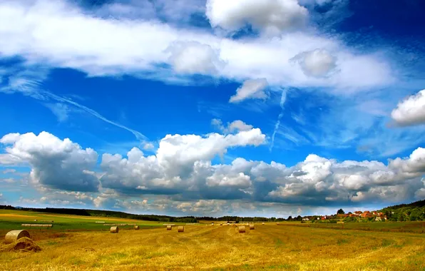 Nature, town, farm