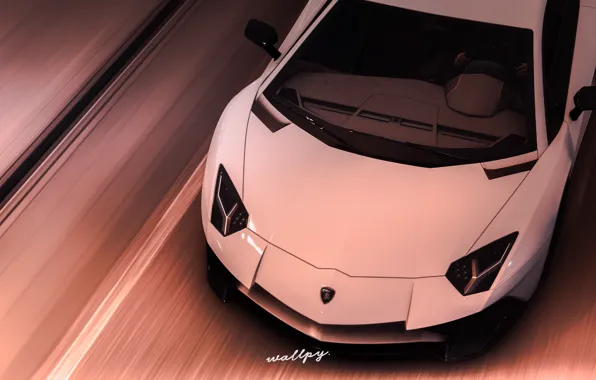 Картинка Lamborghini, Microsoft, Aventador, Forza Horizon 4, by Wallpy