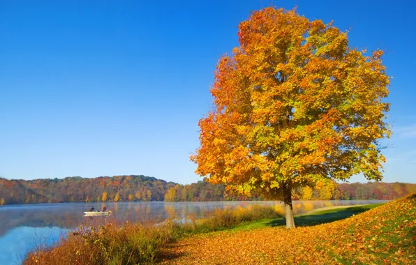 Картинка осень, небо, река, дерево, настроение, холмы, листва, лодка