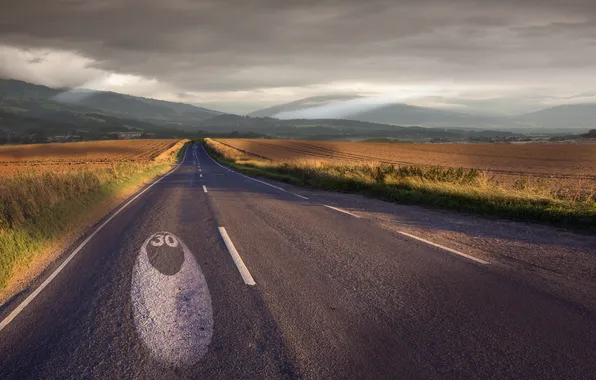 Дорога, поле, утро