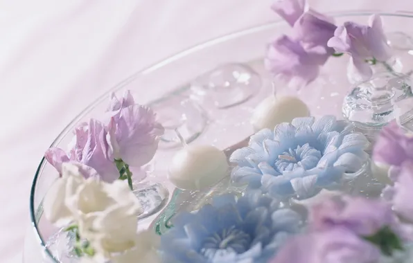 Картинка фиолетовые, синие, цветы.ю вода