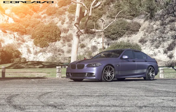 BMW, F10, Concavo, CW-S5, DBX, Matte Purple