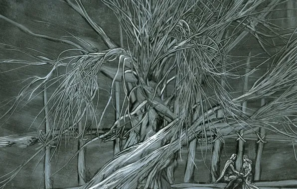Картинка дерево, графика, пара, Айбек Бегалин, бегалиграфия, Сonfidence, 2013г