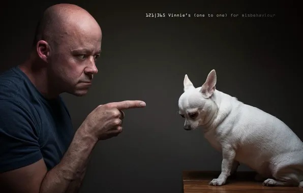 Картинка человек, ситуация, собака