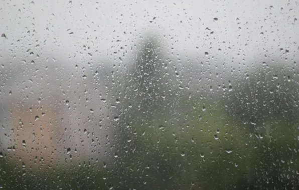 Лето, стекло, вода, капли, поверхность, отражение, дождь, после дождя