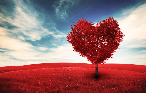 Картинка сердце, романтика, tree, День святого Валентина, дерево, поле, love, sky, облака, clouds, Valentine's Day, любовь, …