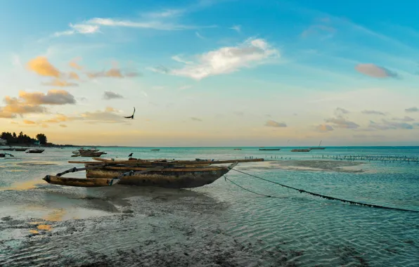 Beach, ocean, sunset, sand, paradise, boat