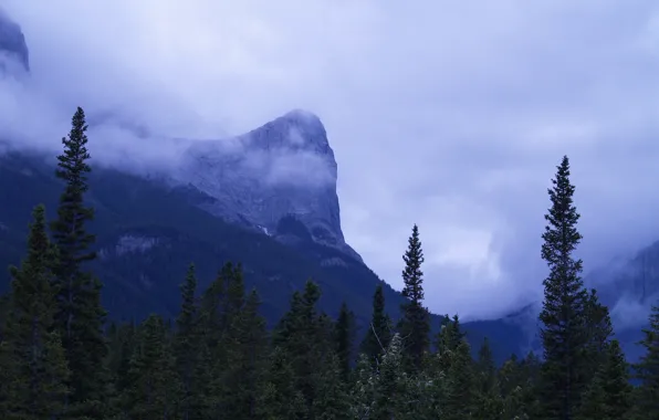 Небо, деревья, горы, тучи, природа, скалы, Канада, Альберта
