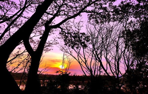 Sun, Water, Sunrise, Dawn, Morning, Lake, Trees, Reflection