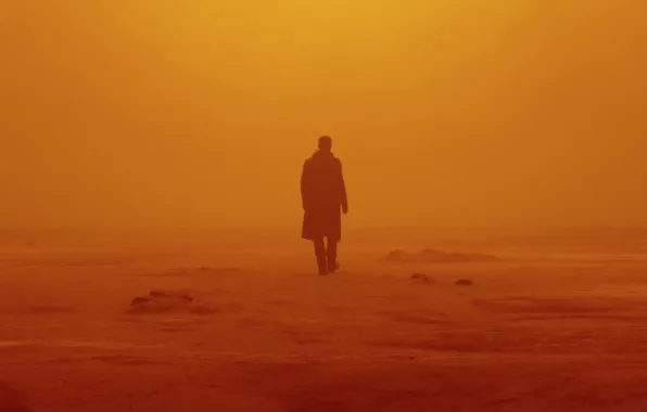 Картинка cinema, movie, film, Ryan Gosling, Blade Runner, Blade Runner 2049, Blade Runner 2