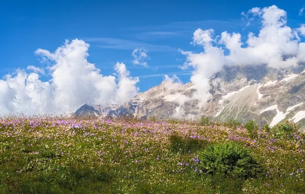 Картинка облака, горы, луга