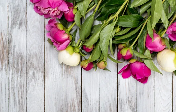 Букет, бутоны, wood, pink, flowers, romantic, пионы, peonies