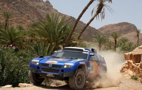 Пальмы, скалы, Volkswagen, Touareg Race