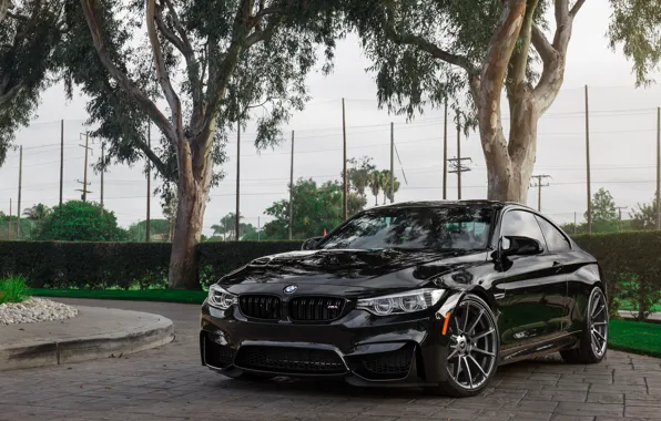 BMW, Vorsteiner, for, V-FF102