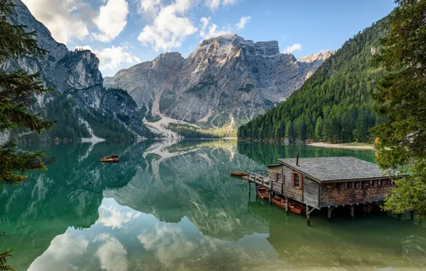 Картинка лес, горы, домик, водоем