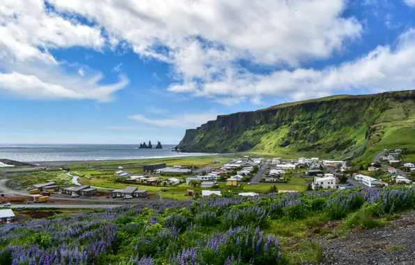 Картинка море, цветы, горы, скалы, берег, дома, деревня, домик