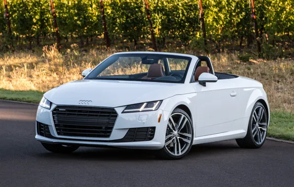 Audi, ауди, Roadster, родстер, quattro, TFSI, US-spec, 2015