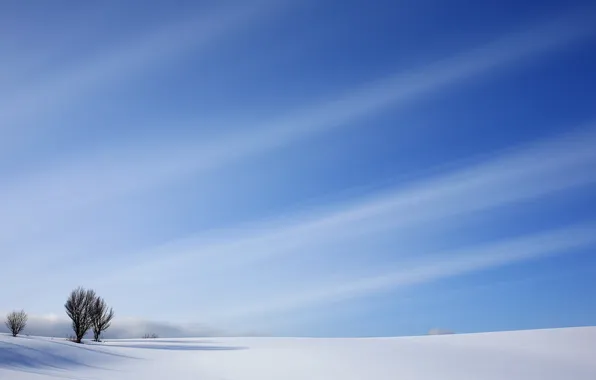 Зима, поле, пейзаж