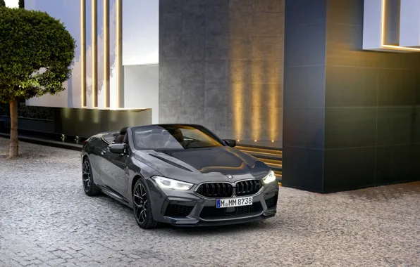 BMW, кабриолет, 2019, BMW M8, M8, F91, M8 Competition Convertible, M8 Convertible