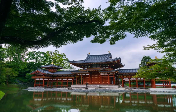 Деревья, пруд, храм, Japan, the Byod Temple Uji