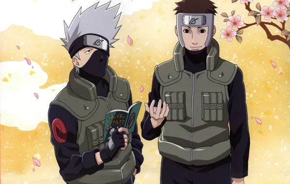 Весна, лепестки, книга, Naruto, ninja, sensei, Hatake Kakashi, Коноха