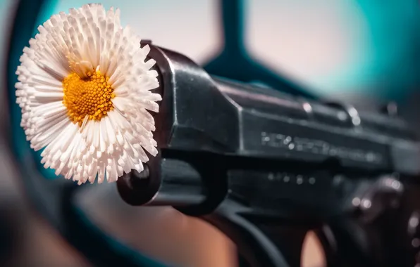 Картинка цветок, пистолет, фон