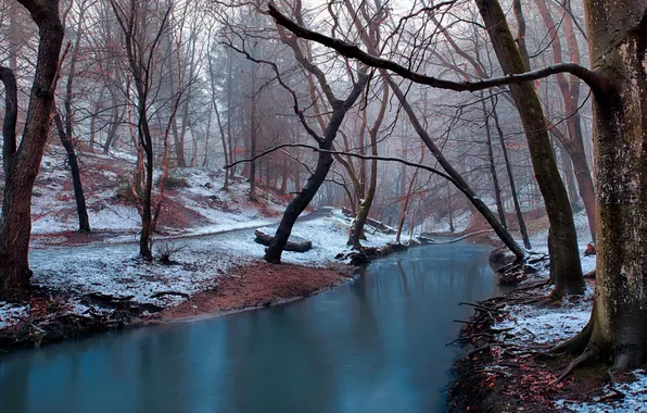 Картинка зима, деревья, река