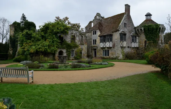 Осень, парк, Англия, Великобритания, park, autumn, England, Scotney Castle