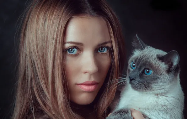 Mouth, muzzle, whiskers, photo, blue eyes, cat, Model, face