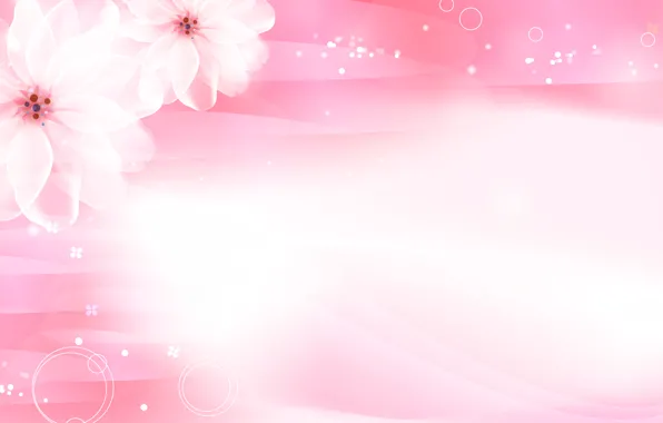 Картинка цветы, розовый, сакура