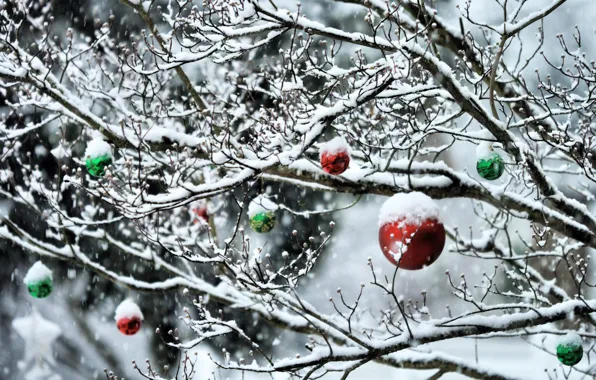 Картинка зима, лес, снег, деревья, новый год