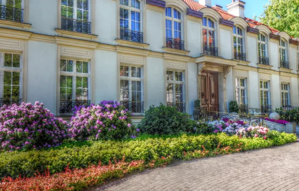 Road, park, garden, home, building