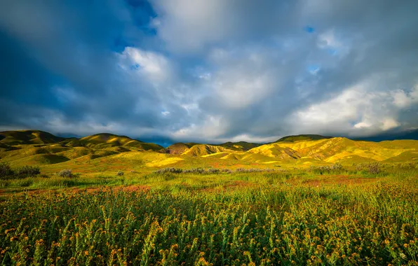 Поле, небо, облака, горы, США, Carrizo Plain National Monument