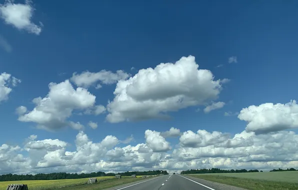 Дорога, Вологда