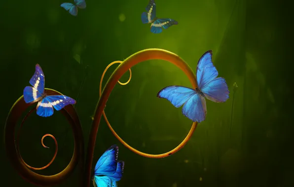 Картинка rendering, butterflies, graden