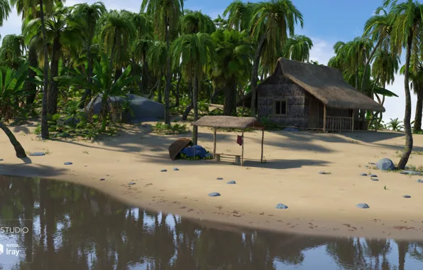 Вода, пальмы, берег, постройка, SecludedIsland