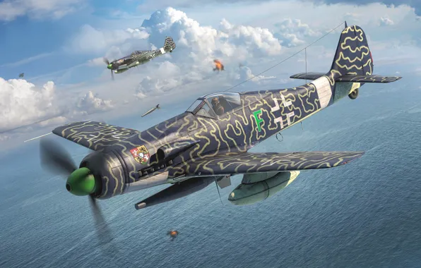 Истребитель-моноплан, Focke-Wulf, Люфтваффе, немецкий одноместный одномоторный поршневой, Antonis (rOEN911) Karidis, FW-190 D-15
