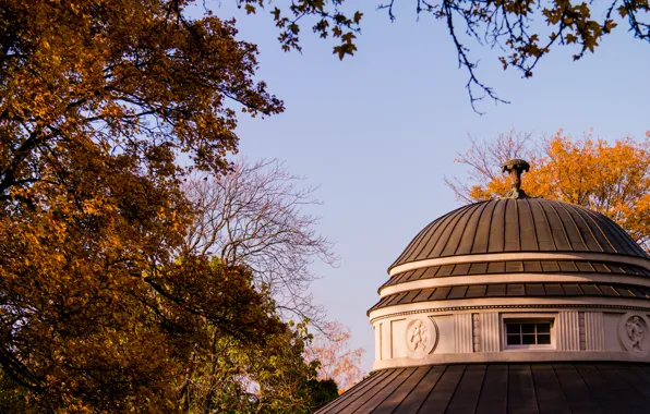 Sky, Blue, Park, Stuttgart, Forest, Trees, Teehouse, Dome