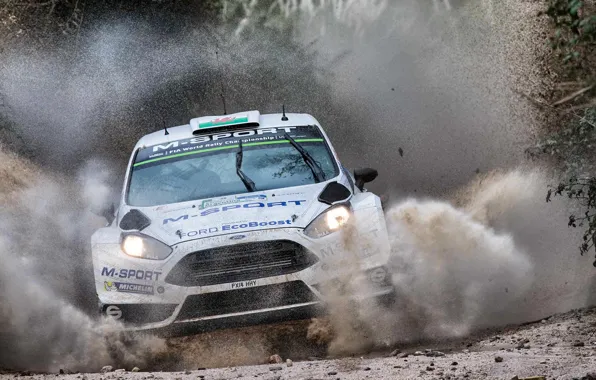 Картинка Ford, Брызги, WRC, Rally, Ралли, Fiesta, Evans